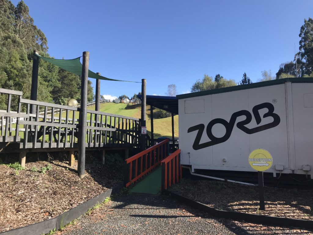 Zorbing in New Zealand