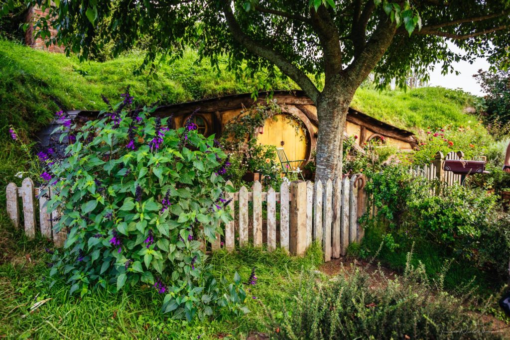 Hobbit hole in Hobbiton