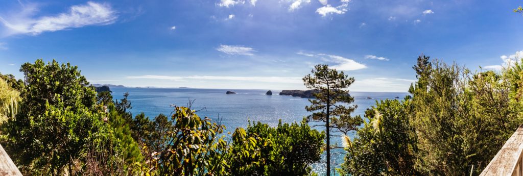 A View along the way to Cathedral cove