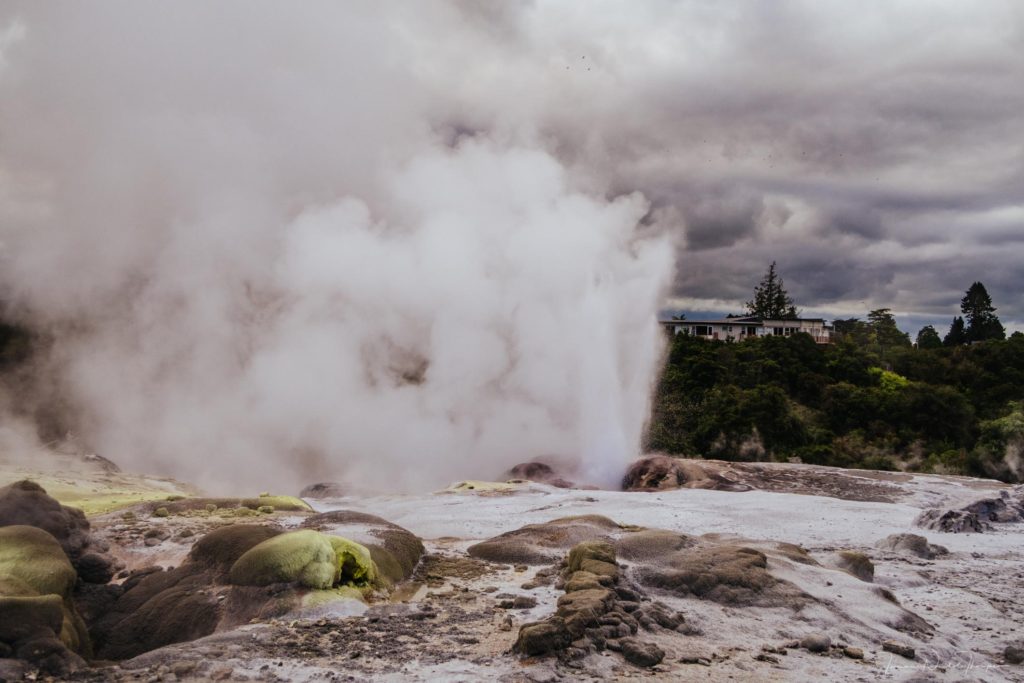 Geyser in Rotorua New Zealand