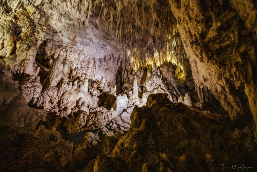 Raukuri Cave. Waitomo New Zealand