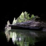 Waitomo Glow worms caves new zealand