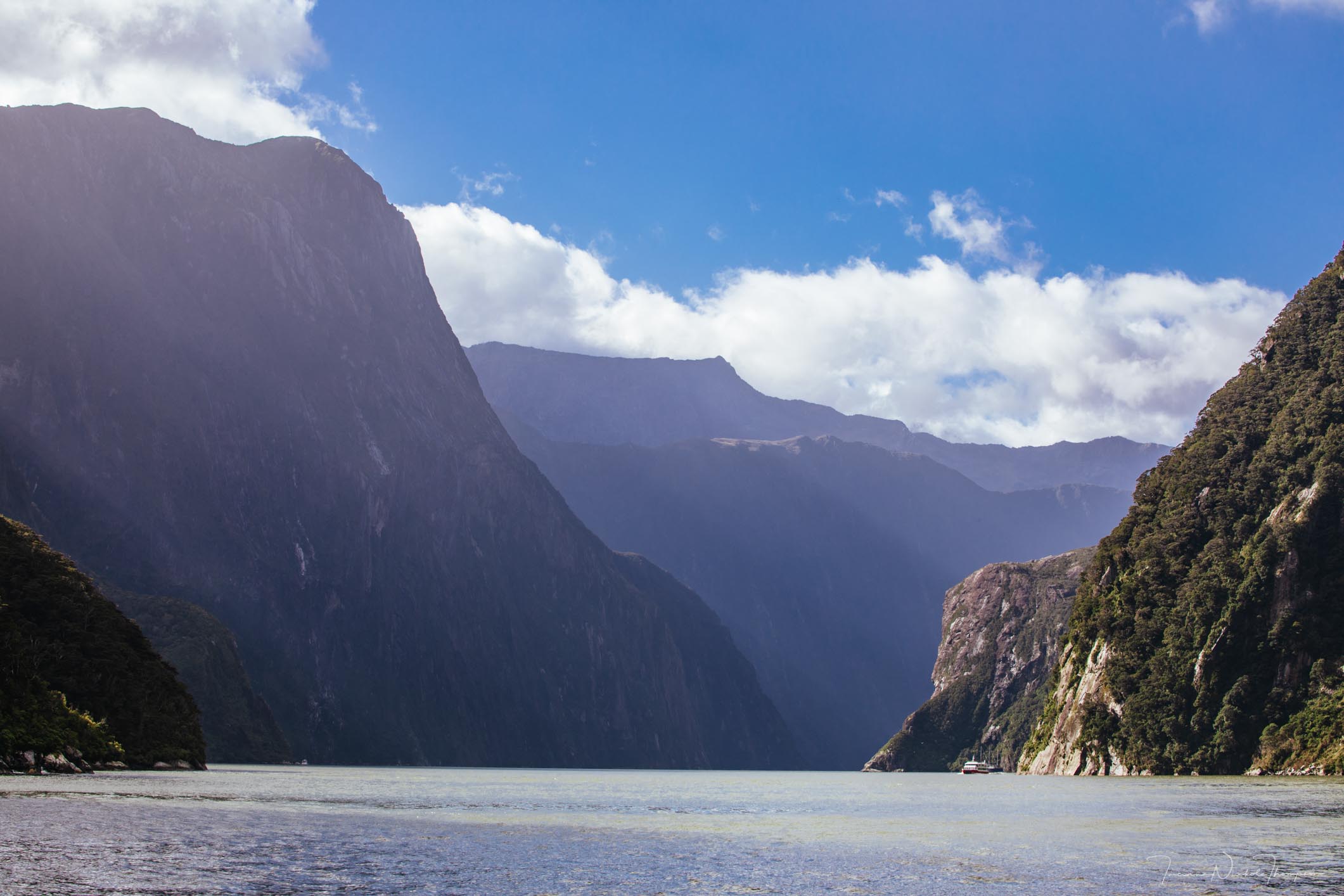 A view of Milford Sound from the boat tour