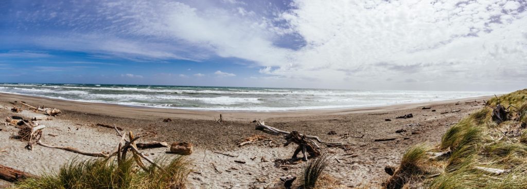 Mananui Bush and Beach Walk