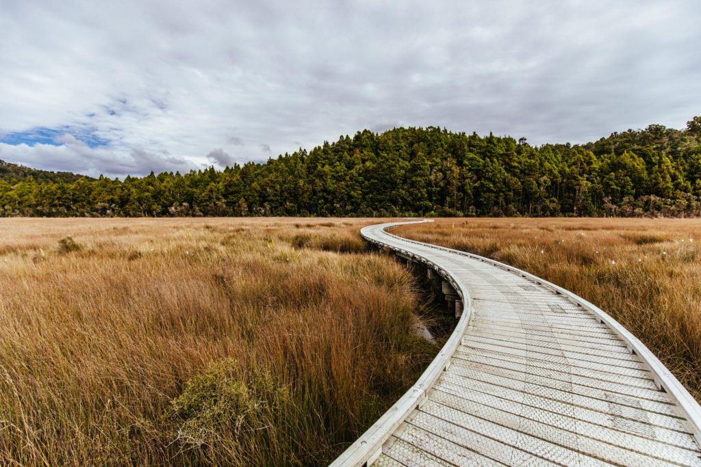 Okarito Trig Walk New Zealand