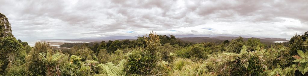 Okarito Trig Walk New Zealand