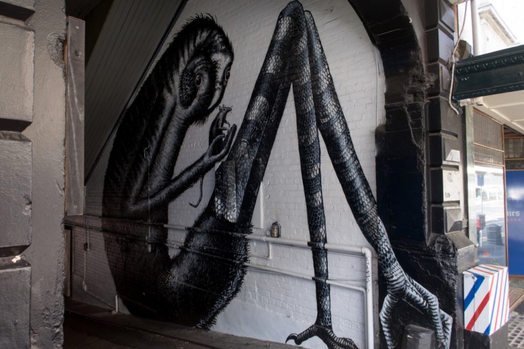 Street art in Dunedin New Zealand