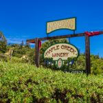 Our Favorite Mendocino Winery