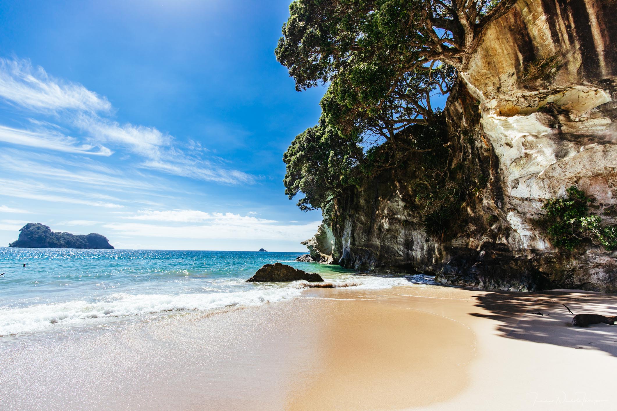 New Zealand Beach