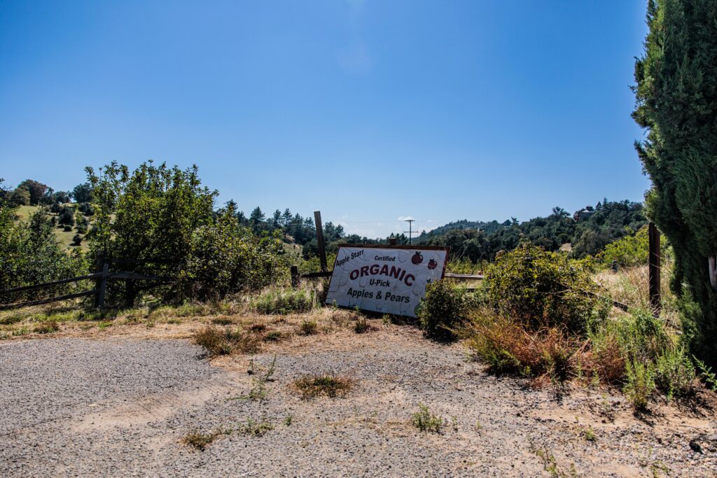 Apple Starr Orchard, Julian Ca