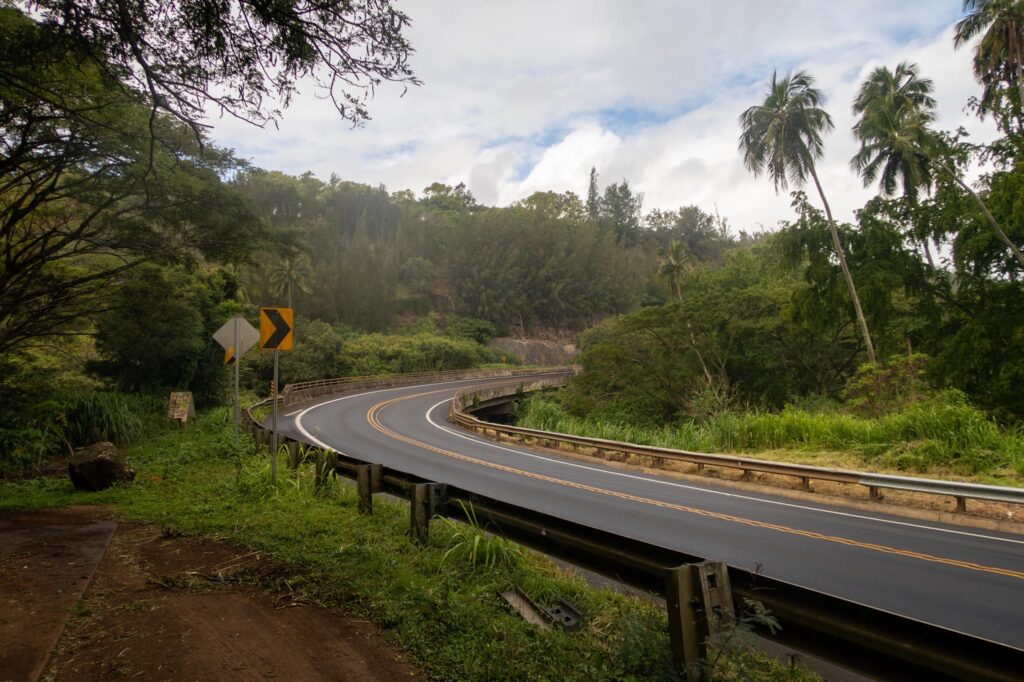 Drive the Road to Hana