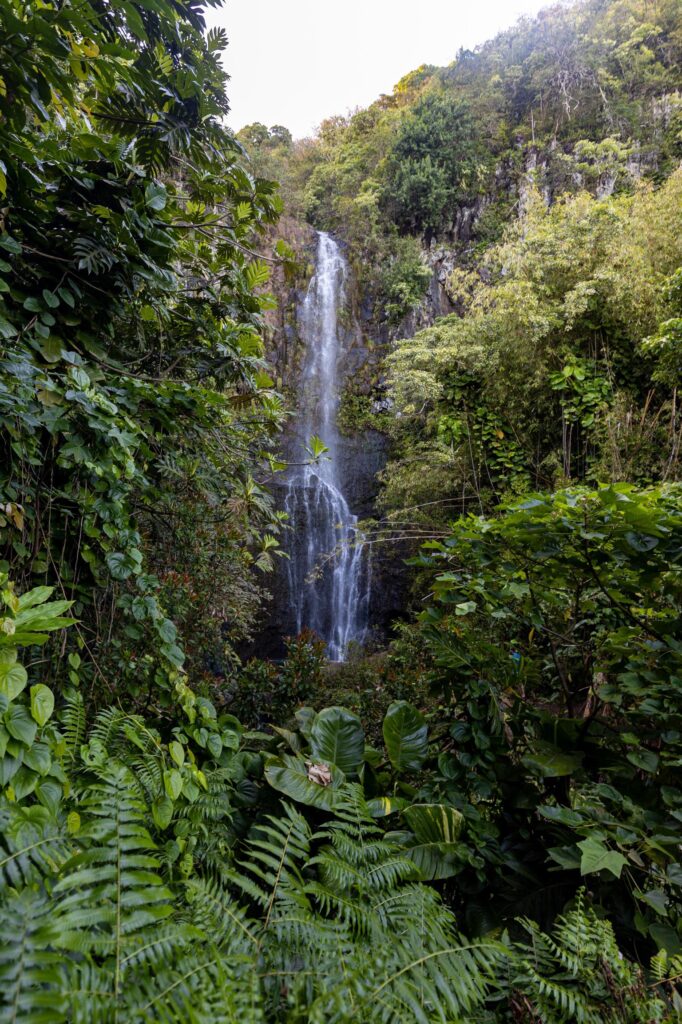 waterfall on the Drive the Road to Hana