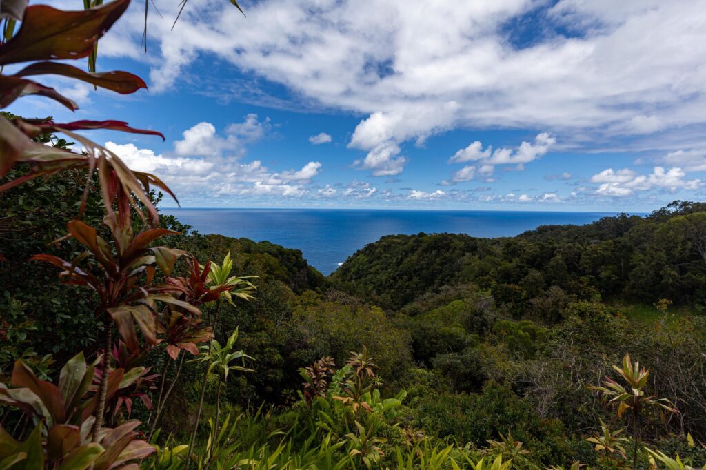 Drive the Road to Hana
