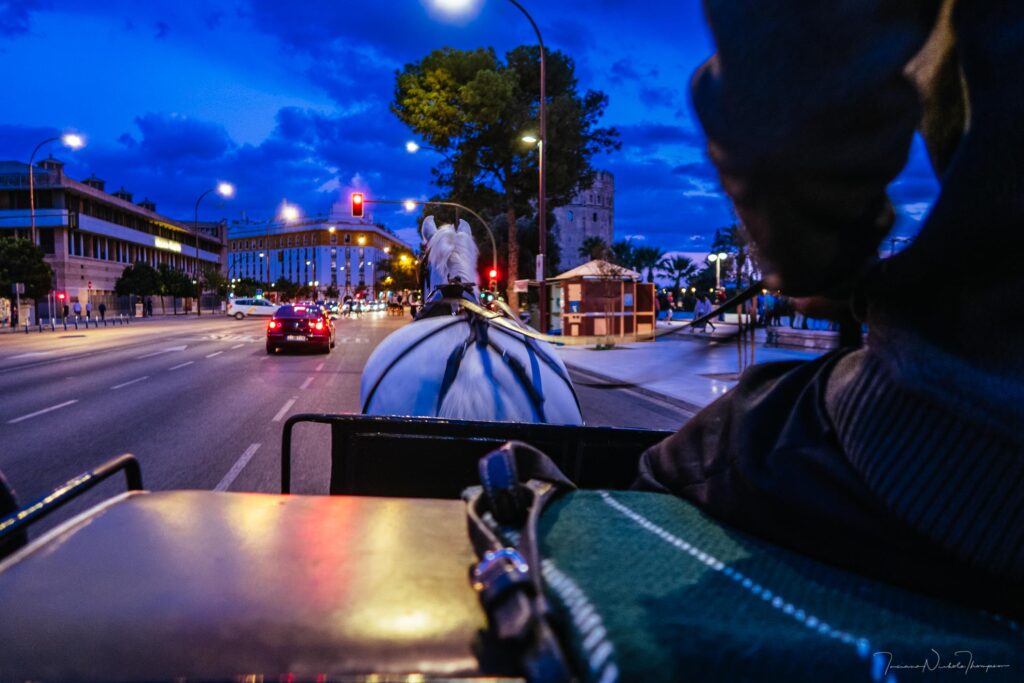 Horse-Drawn Carriage in Seville