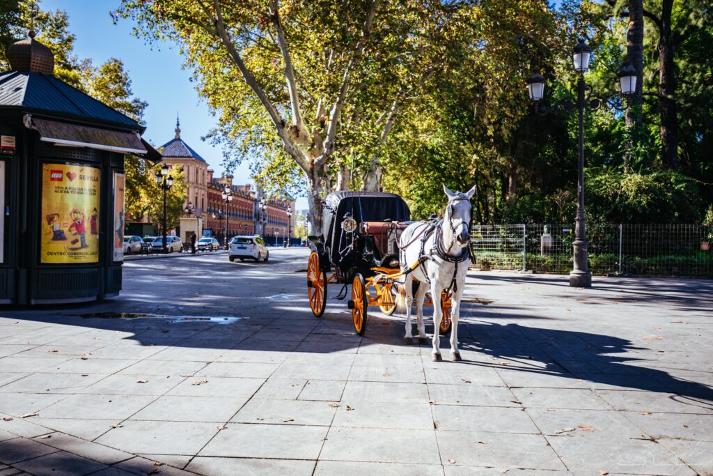 one of the horse drawn carriages in seville