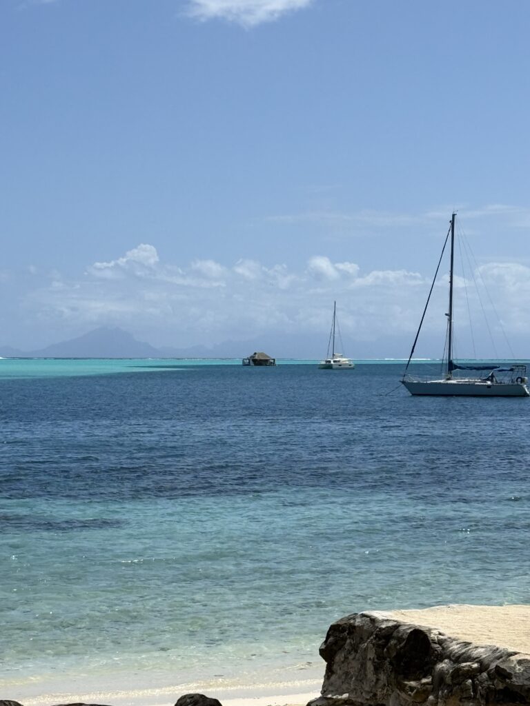 catamaran on the way to pick us up