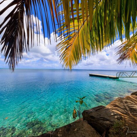 Seville: The Heart and Soul of Andalusia