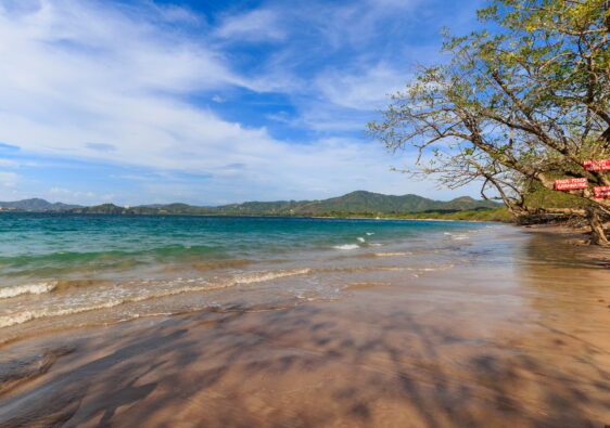 Beach in Tamarindo