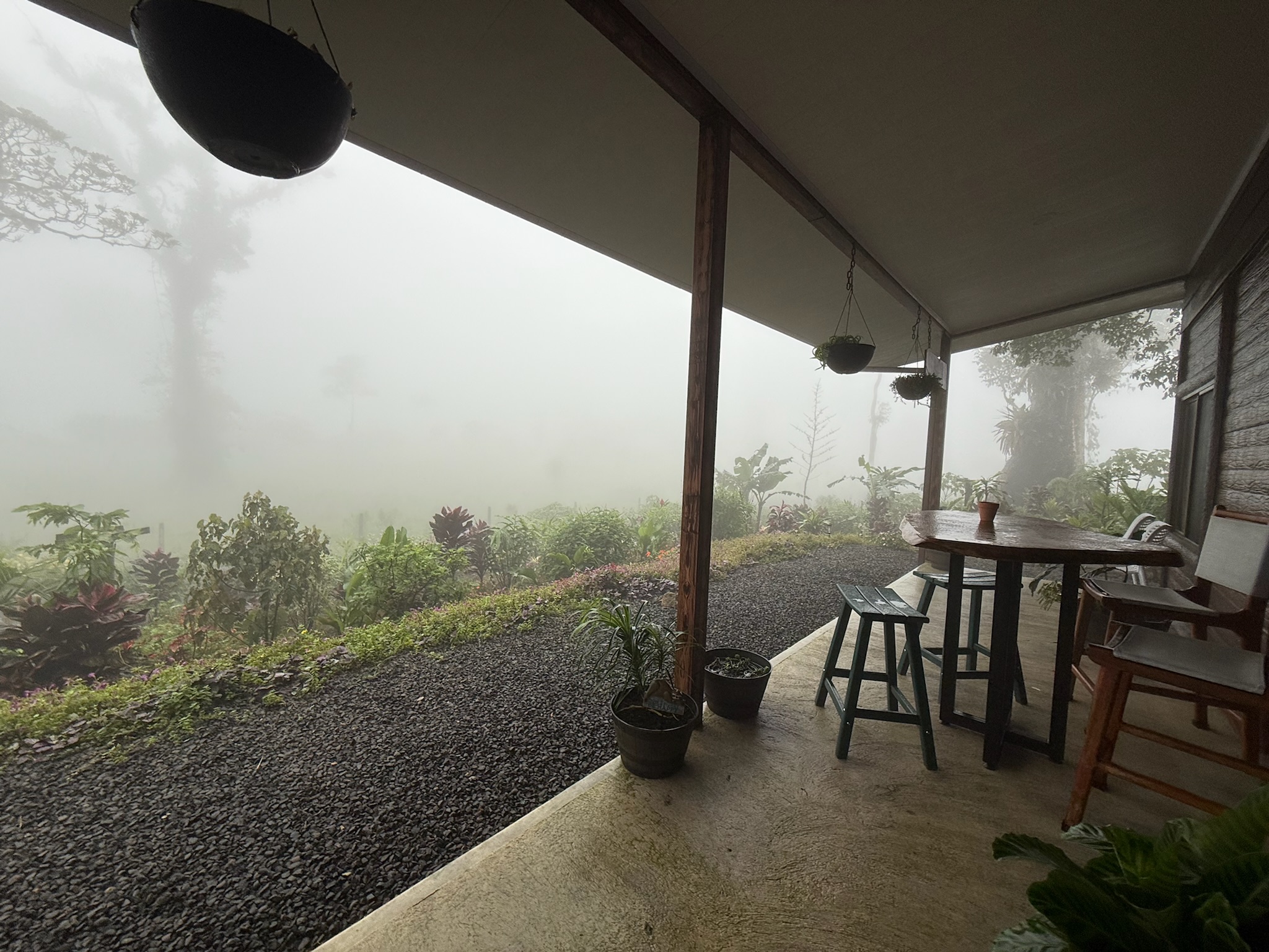 the view from our VRBO