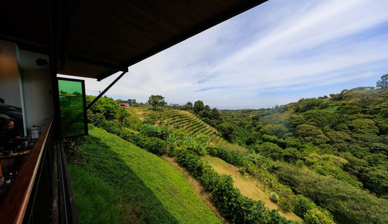 alcasia coffee farm in Costa Rica