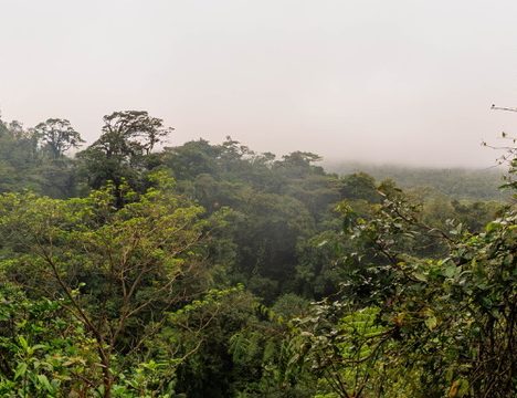 Horseback Riding to La Fortuna Waterfall: Cost and What to Expect