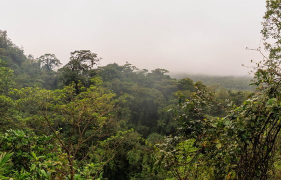 view from the drive in costa rica