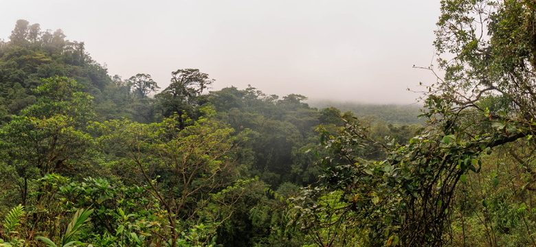 view from the drive in costa rica