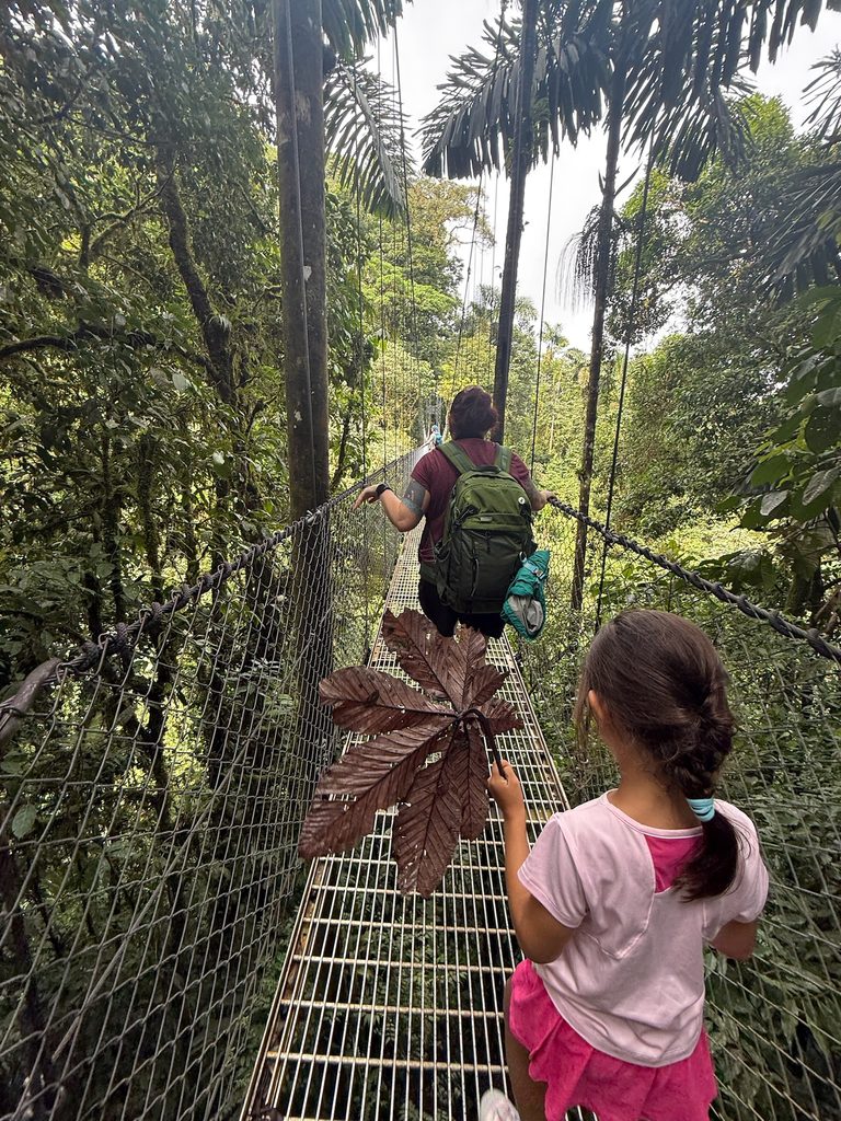 Hanging bridges in Costa Rica