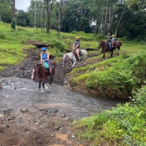 Mistico Arenal Hanging Bridges: Cost, Hours, and Our Honest Review